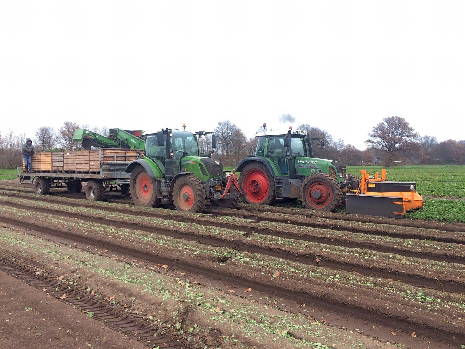 Foto: Marc Verkuijlen