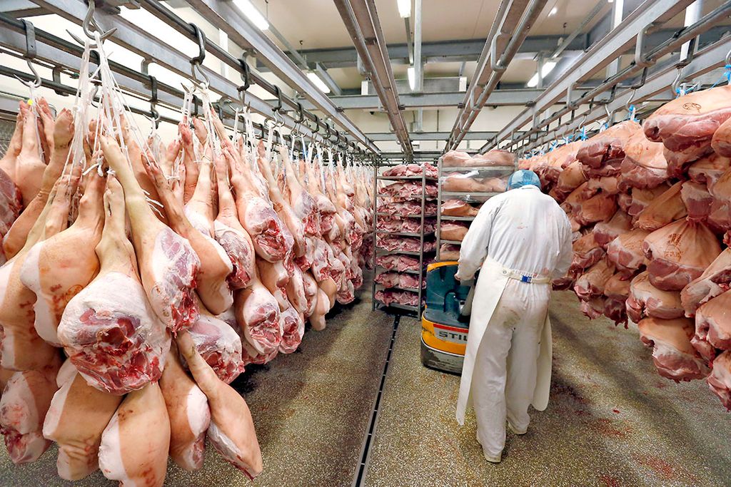 Hammen, zoals hier in de koeling van een Nederlands bedrijf, vormen de de belangrijkste grondstof voor de productie van vleeswaren, waarover jarenlang prijsafspraken werden gemaakt in Frankrijk. - Foto: Bert Jansen