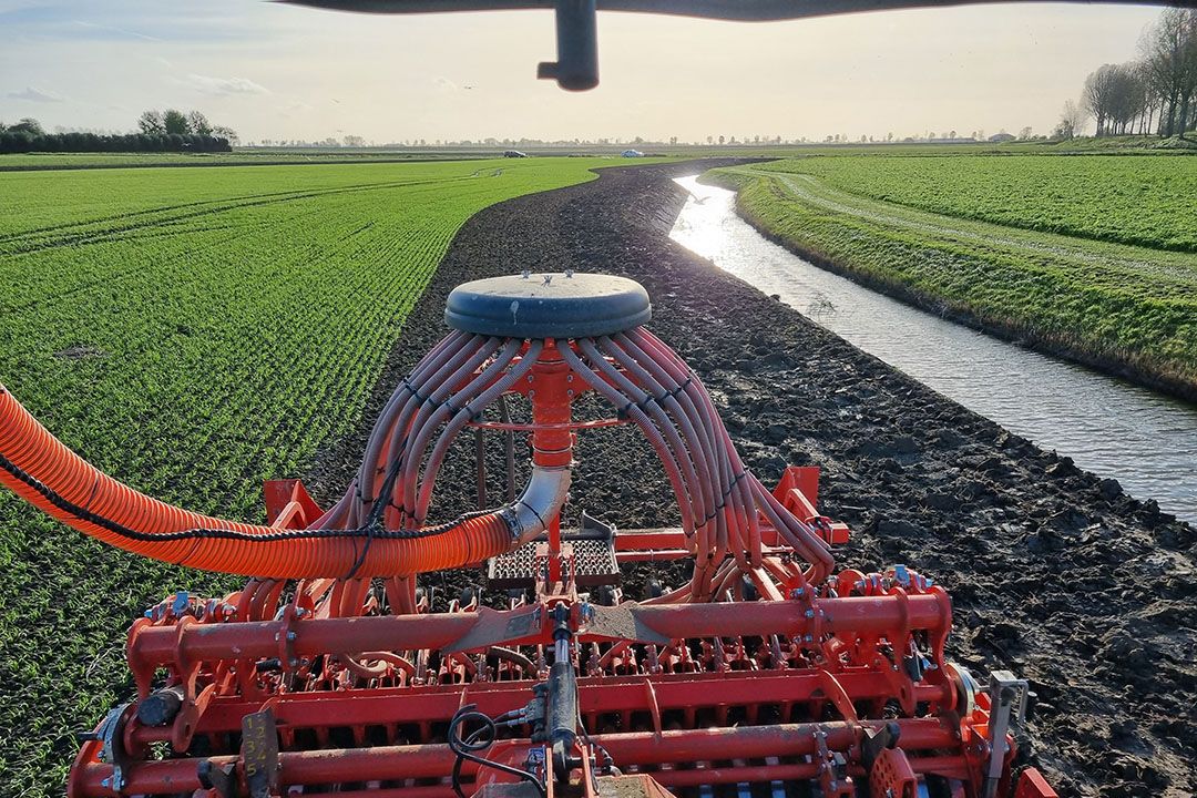 In de derogatiebeschikking staat dat langs waterlopen een bufferstrook van 3 meter verplicht is. - Foto: Boerderij