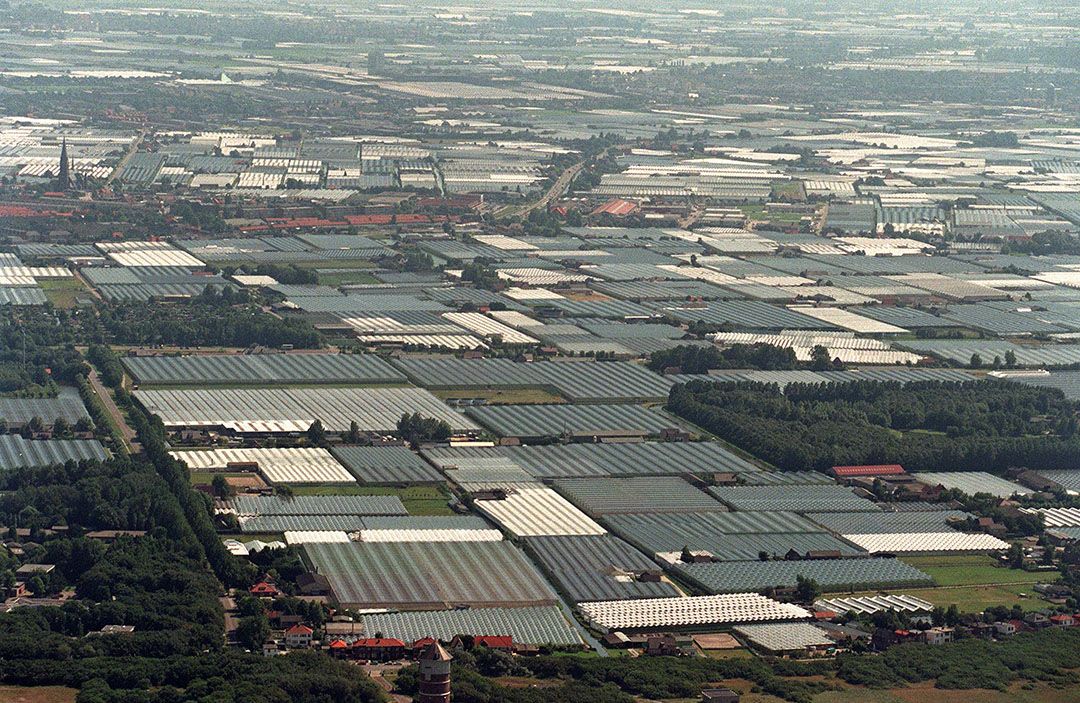 Economische meewind maakt fysieke herstructurering van glastuinbouwgebieden lastiger. Foto: ANP