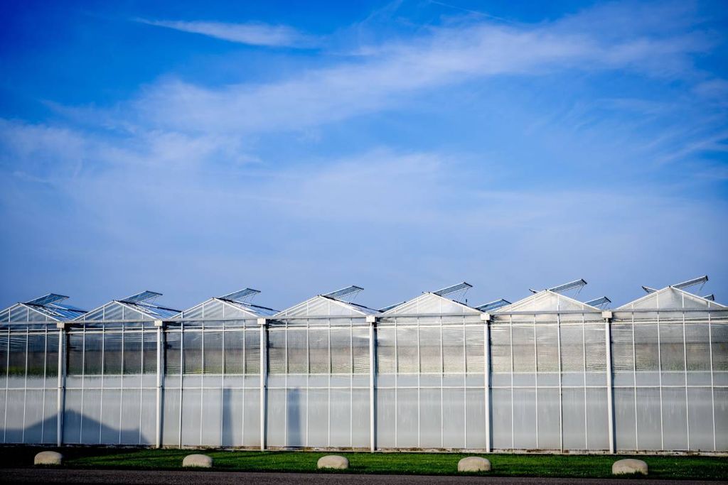 Provincie Drenthe vindt de glastuinbouw in de gemeente Emmen nu al een van de koplopers in de energietransitie. – Foto: ANP/Hollandse Hoogte/Robin Utrecht