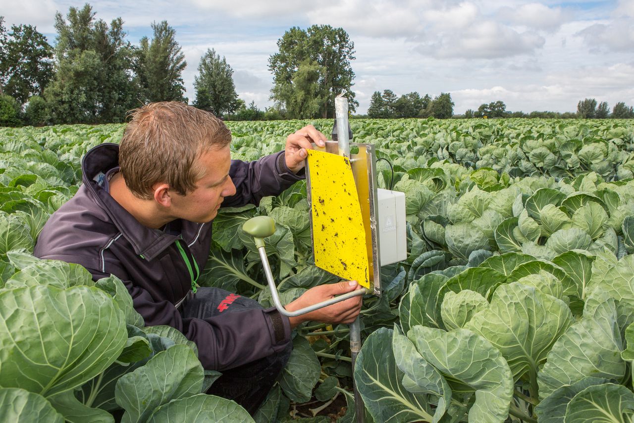 Waarnemingen in het veld waren al belangrijk, maar worden zo mogelijk nog belangrijker. Foto: Peter Roek