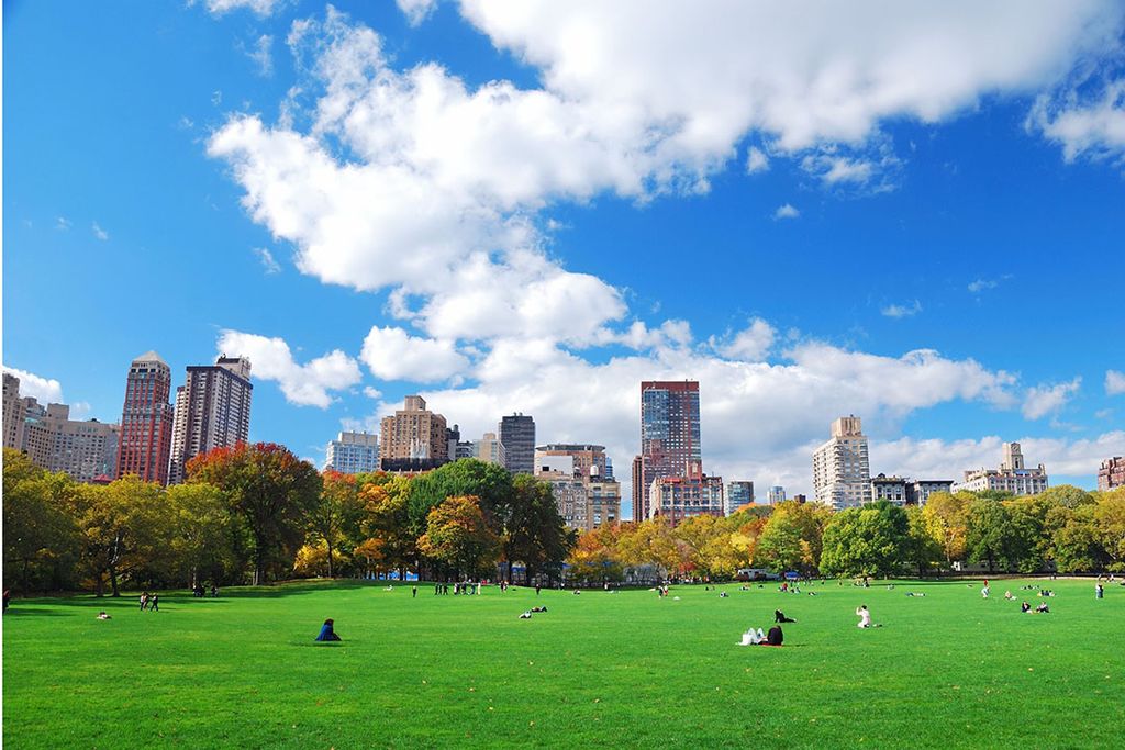 Central Park New York. Foto: Canva