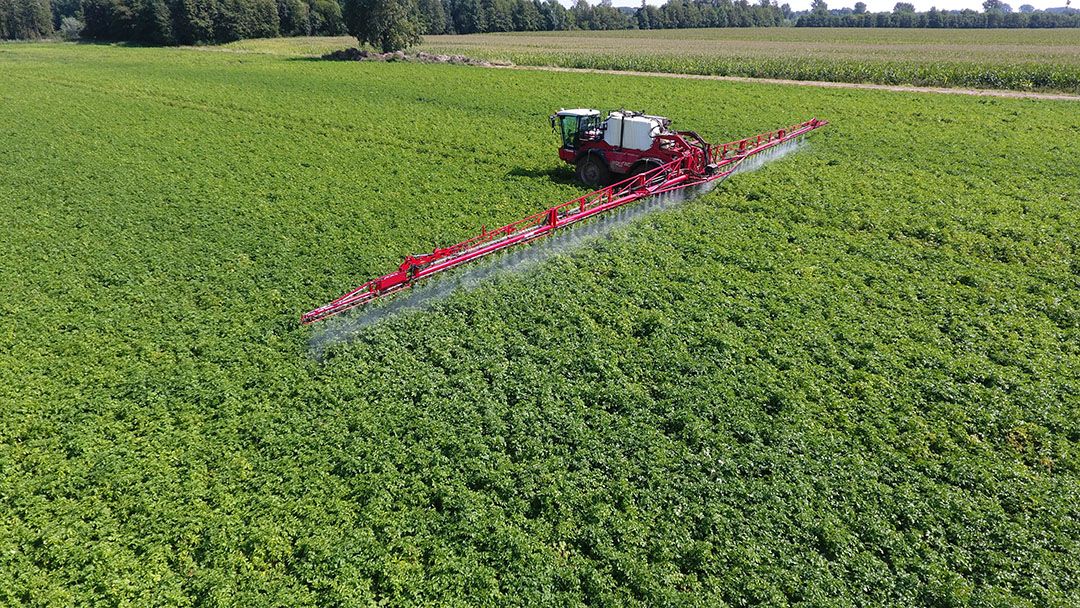 Spuiten van fritesaardappelen met een kiemremmer. - Foto: Henk Riswick