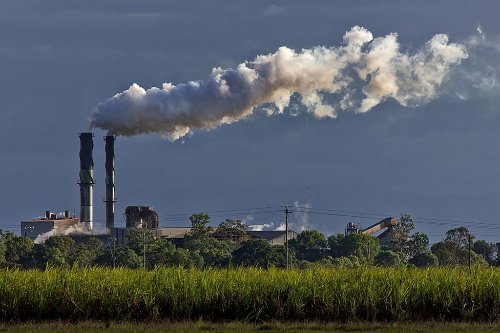 De dalende suikerprijzen hebben geleid tot de sluiting van twee suikerfabrieken in het Australische Queensland. Foto: Canva