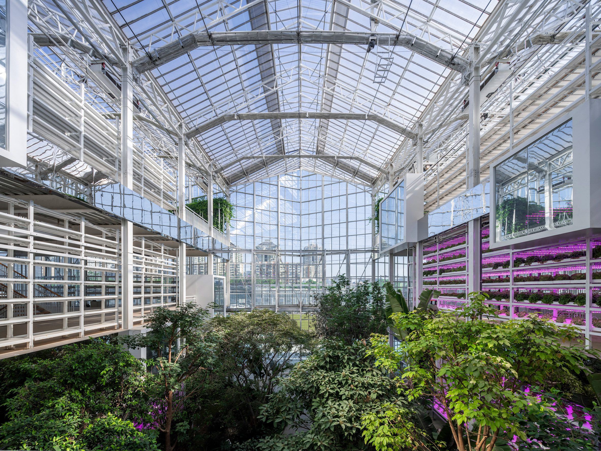 Van Bergen Kolpa Architecten bouwde naast deze kas in Beijing ook dakkas Agrotopia in Roeselare en heeft voor Van Gelder in Ridderkerk een nog ambitieuzer ontwerp op stapel staan. Foto: Van Bergen Kolpa Architecten