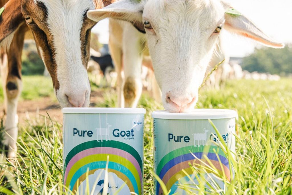 Foto: Pure Goat Company