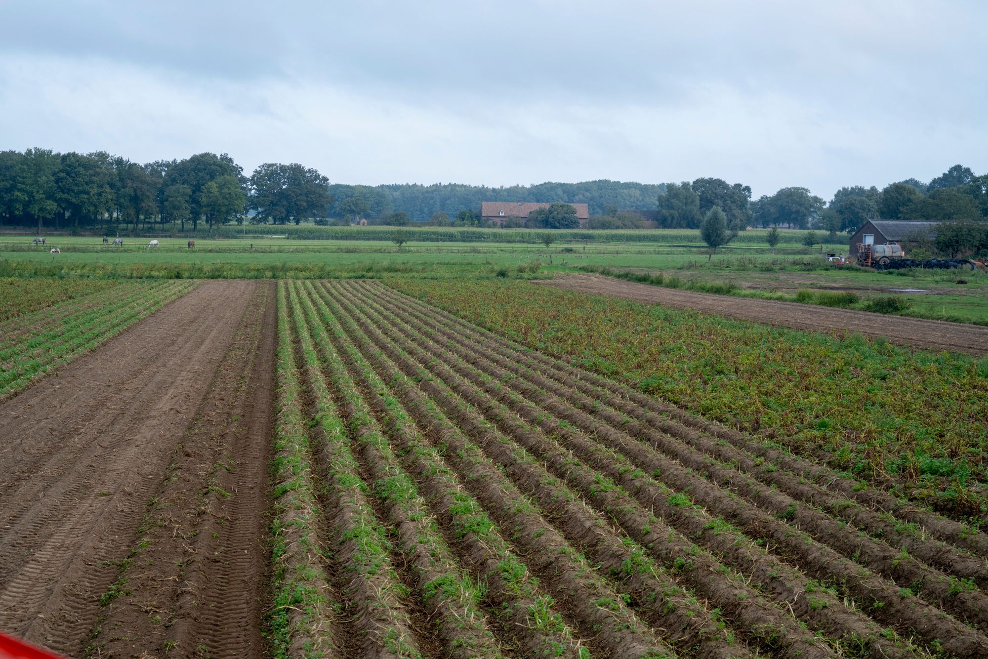 ‘Misschien worden straks Natura 2000-gebieden weer wel omgeploegd om aardappels op te telen’. Foto: Bram Becks Fotografie