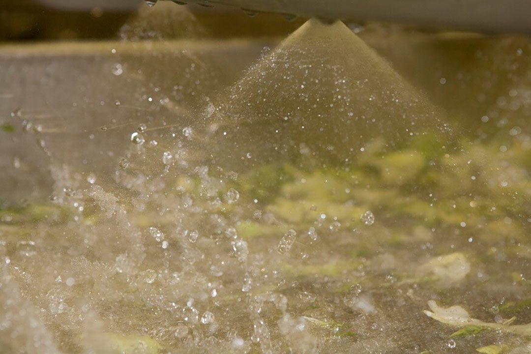 Fins onderzoek richt zich op salade met ingrediënten uit acht landen. - Foto: ANP