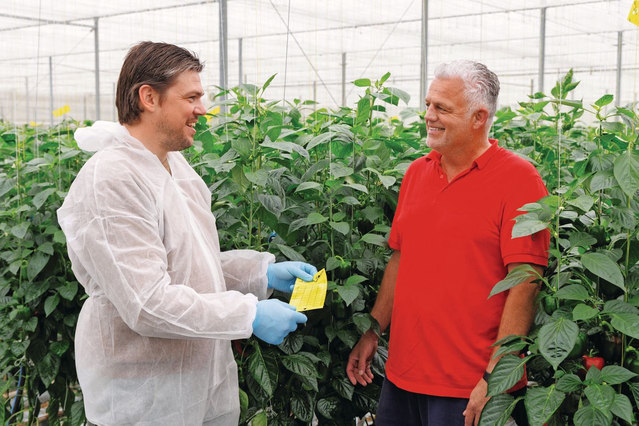 Barry Zeestraten van Bos Kwekerijen en Cisse Sterk bekijken het gewas. Foto: Royal Brinkman.