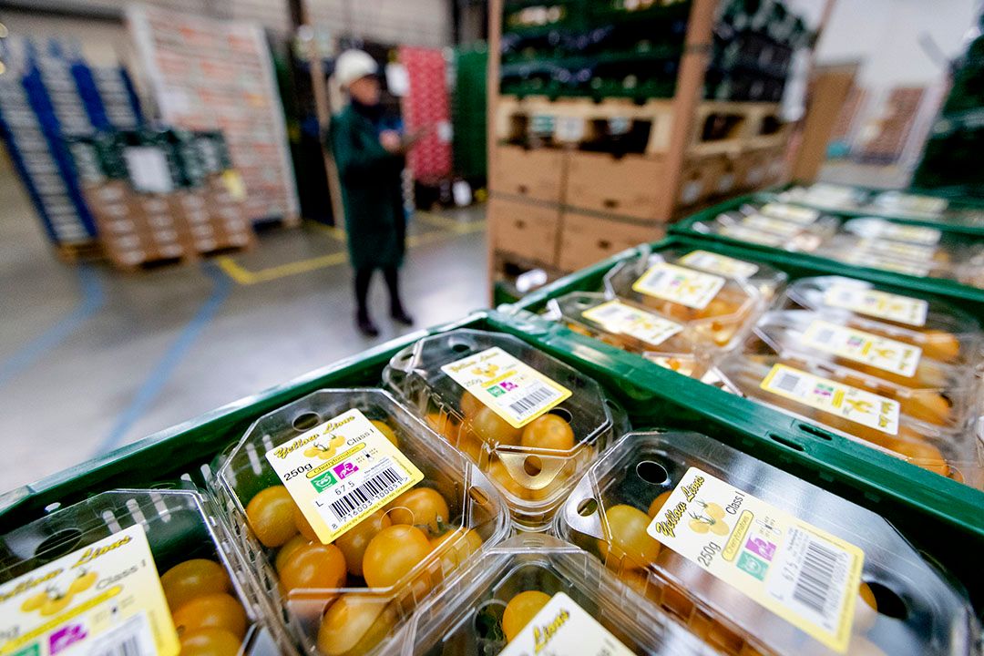 Handel in groenten en fruit is zo diffuus dat het moeilijk is aan te tonen of telers in horecakanaal opereren. - Foto: Robin van Lonkhuijsen