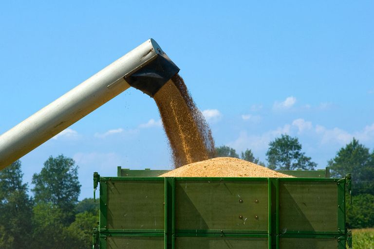 De prijsstijging voor plantaardige producten is onder meer het gevolg van de graanprijzen, die sinds juli 2020 stijgen. - Foto: Canva/RobertHoetink