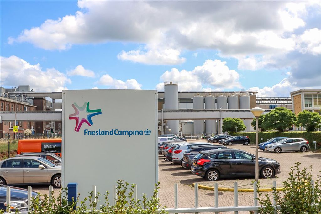 FrieslandCampina wordt per 1 januari 2024 onderverdeeld in zeven businessgroepen onder leiding van een Executive Team. - Foto: ANP