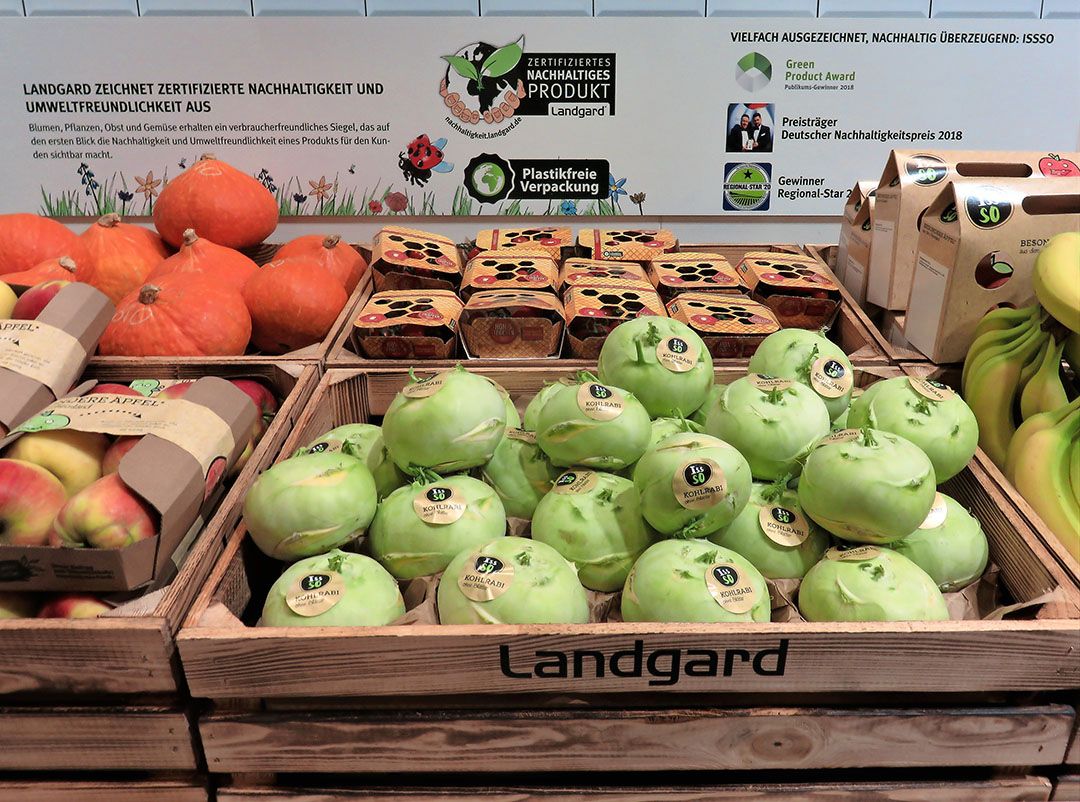 Voor biologische koolrabi komt een soepeler toelatingsonderzoek. - Foto: Ton van der Scheer