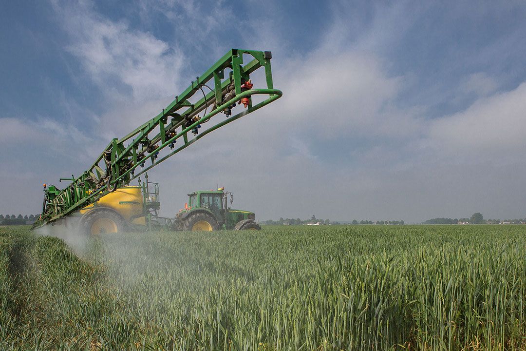 Anders dan in voorgaande jaren werden in het relatief droge jaar 2020 meer middelen ingezet voor de bestrijding van insecten dan voor onkruid. - Foto: Peter Roek