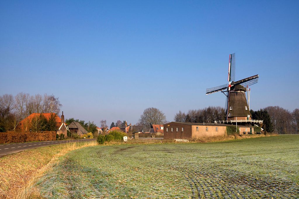 Alleen Gelderse projecten met minimaal één streekproducent, één gemeente en één afnemer kunnen aanspraak maken op de subsidie. Foto: Canva