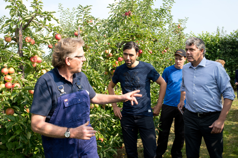 Wim Notermans laat SP-voorzitter Ron Meyer en LLTB-voorzitter Leon Faassen zien hoe het er in de fruitteelt bij staat. - foto: Twan Wiermans