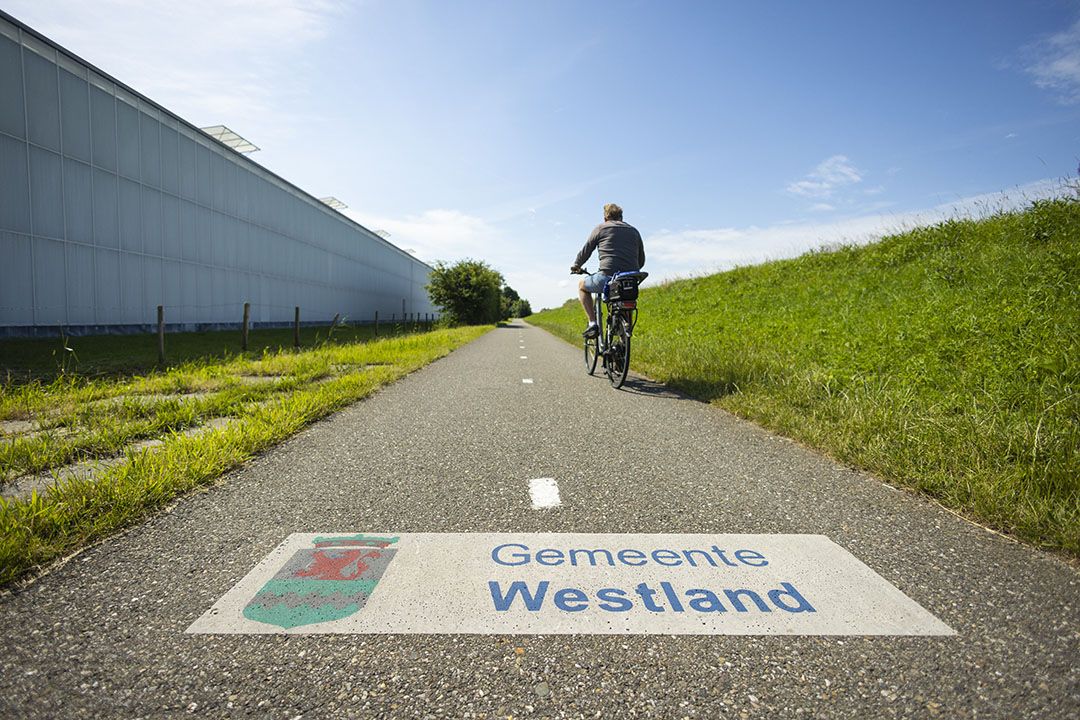 Een grondeigenaar wil braakliggende glaspercelen tot waarde brengen door er grasland van te maken in Westland. - Foto: ANP