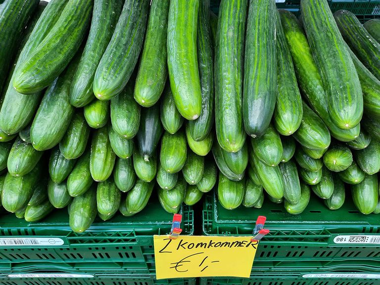 Meer aanbod en nog weinig warm komkommerweer zorgen voor bodemprijzen. - Foto: G&F