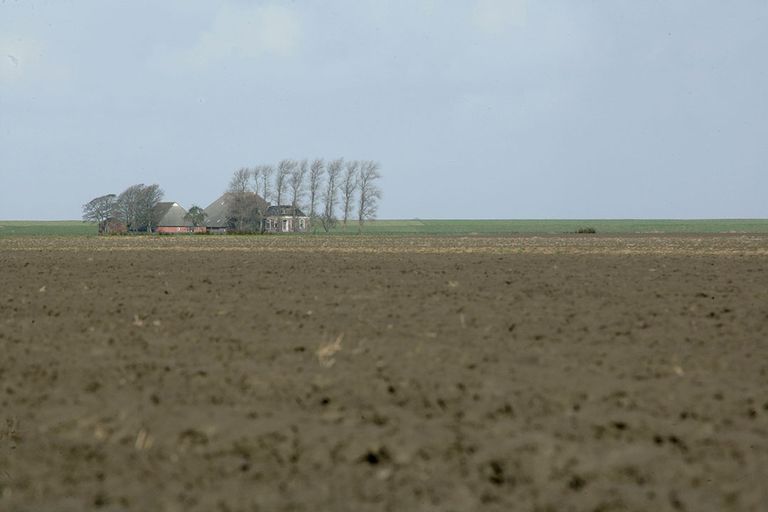 Wijds land aan de Wadden, goede grond en door bomen omzoomde boerderijen. - Foto: Henk Riswick