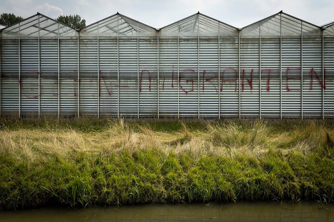 Veel verouderde kassen in Westland. Foto: ANP / Hollandse Hoogte /Laurens van Putten