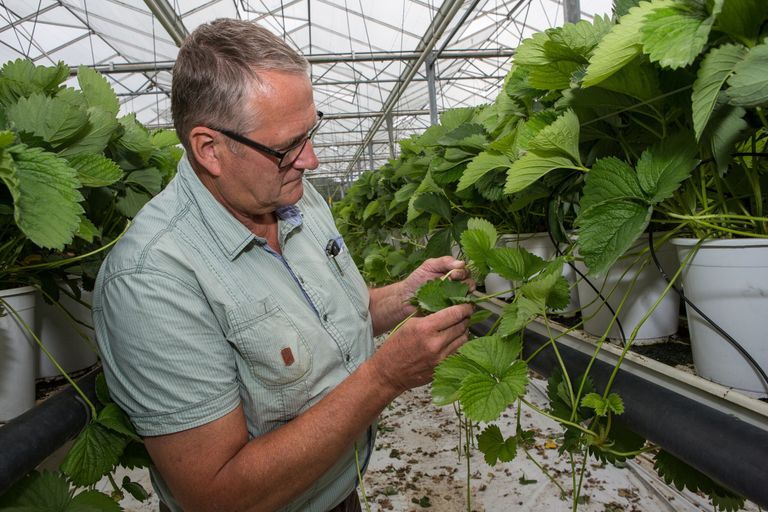 Ad van Laarhoven - Foto: Peter Roek