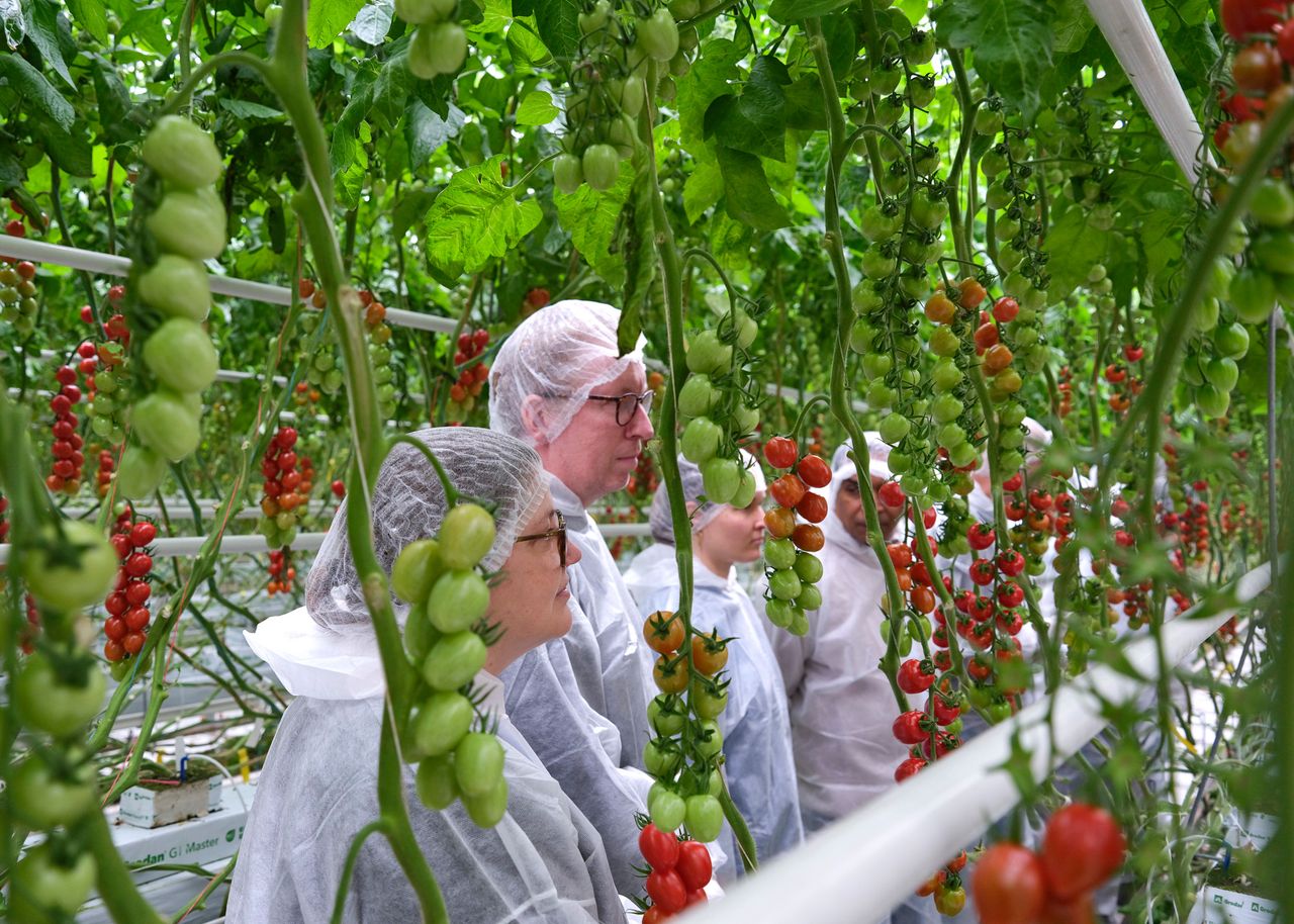 De perstour van het ISF deed deze week Syngenta in Maasland aan. – Foto: Paul Schipper