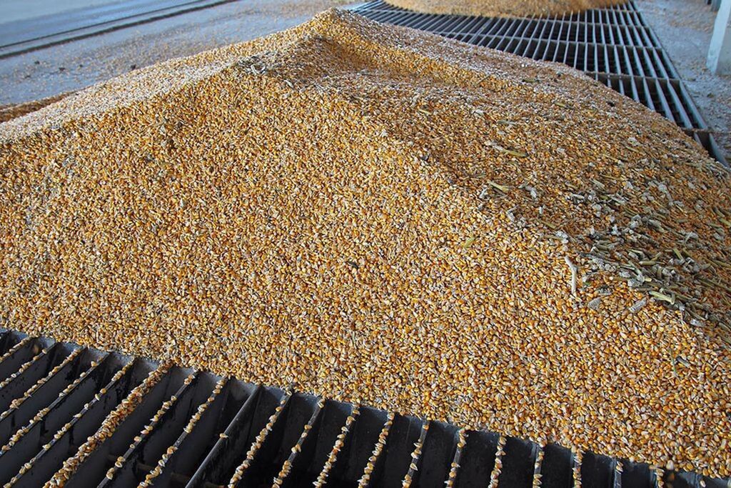 Volgens de deal kon Oekraïne via de zeeroute over de Zwarte Zee graan exporteren, en kreeg ook Rusland ruimte om landbouwproducten uit te voeren. Foto: Canva