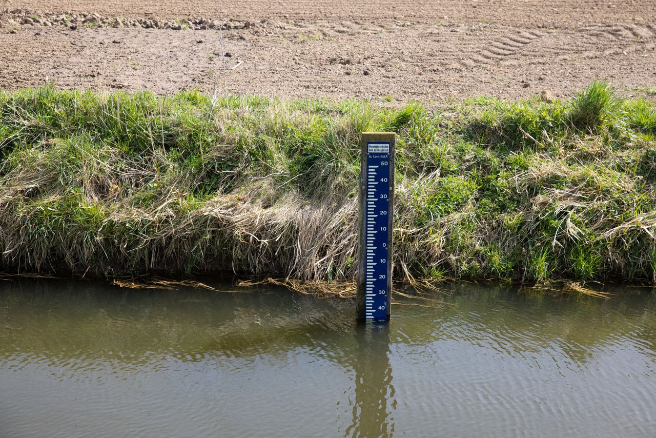 Foto: Peter Roek