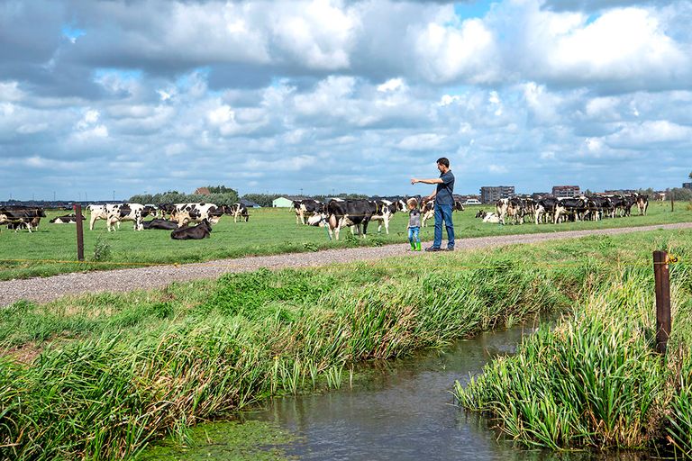 De betere gronden in Noord-Holland behoren tot de duurste van West-Nederland. - Foto: Cor Salverius