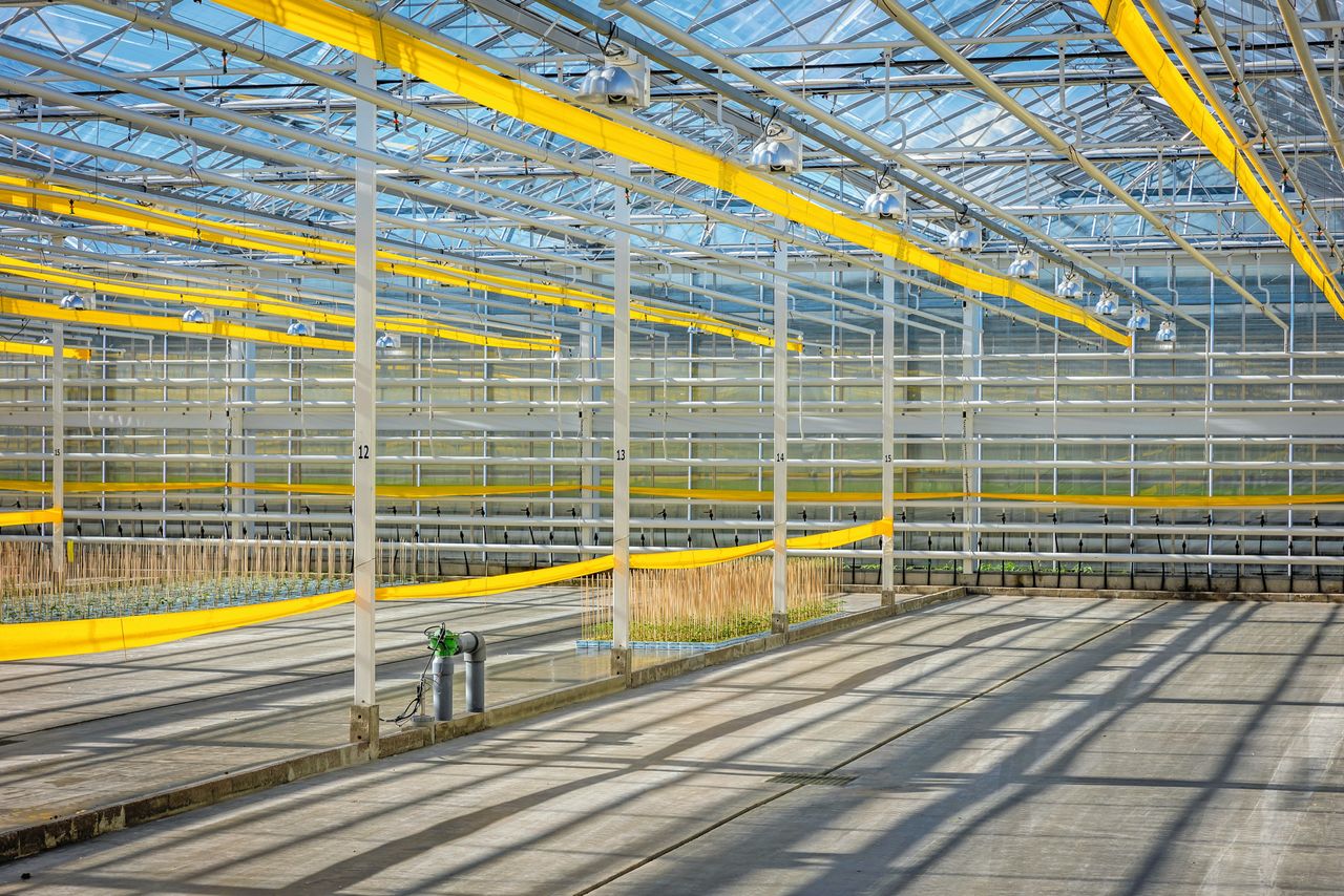 Teler kan hoofdelijk aansprakelijk zijn bij schuld gasrekening. Foto: Roel Dijkstra