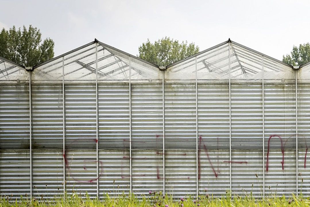 Archieffoto van een oude kas. - Foto: ANP