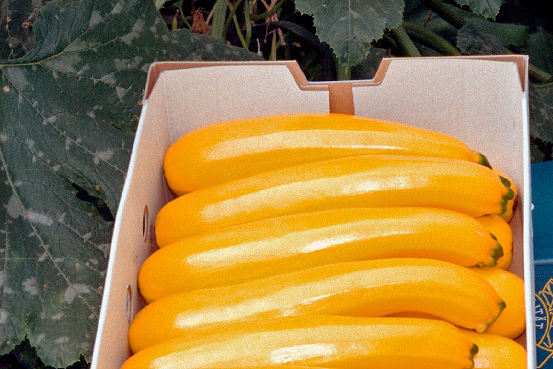 Markt: gele courgettes duurder