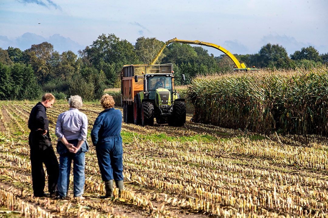 In september wisselde zo n 95 hectare bouwland van eigenaar. - Foto: Ronald Hissink