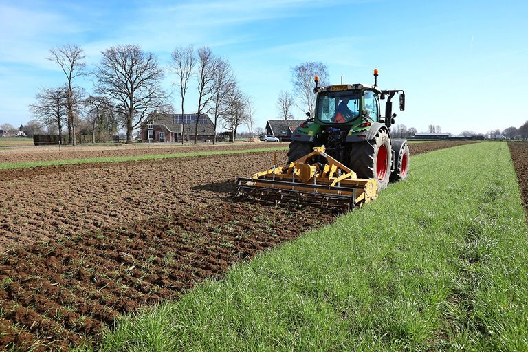 Onderwerken van een groenbemester. - Foto: Henk Riswick