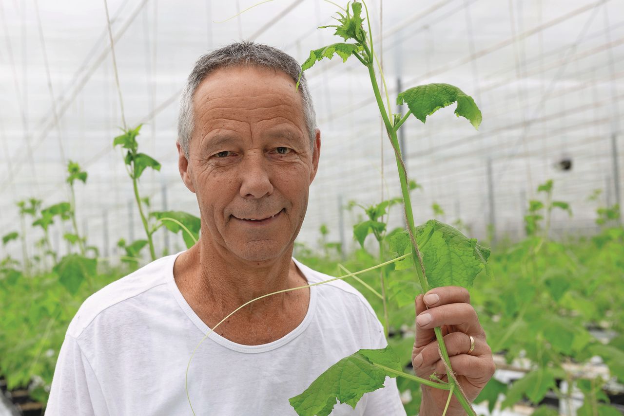 Jan Hendrickx. Foto: Peter Roek