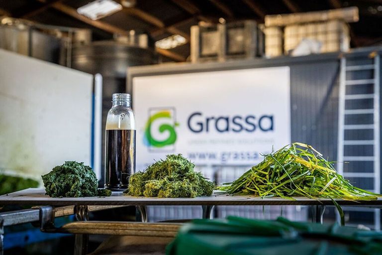 Grassa maakte al eerder graseiwit met het persen, verhitten en filteren van gras. Foto: Schouten