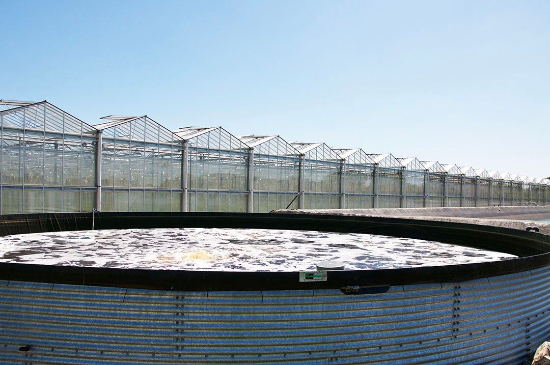 Waterbassin. - Foto: Agrona