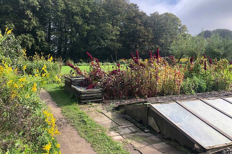 Tuinderij Amelis'Hof verbouwt zo’n 60 verschillende groenten en 25 soorten kruiden. - Foto: Food&Agribusiness