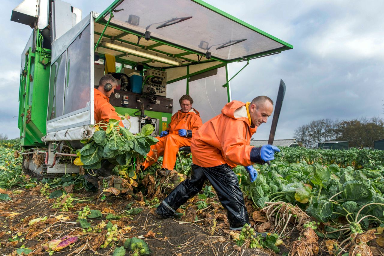 Foto: Roel Dijkstra