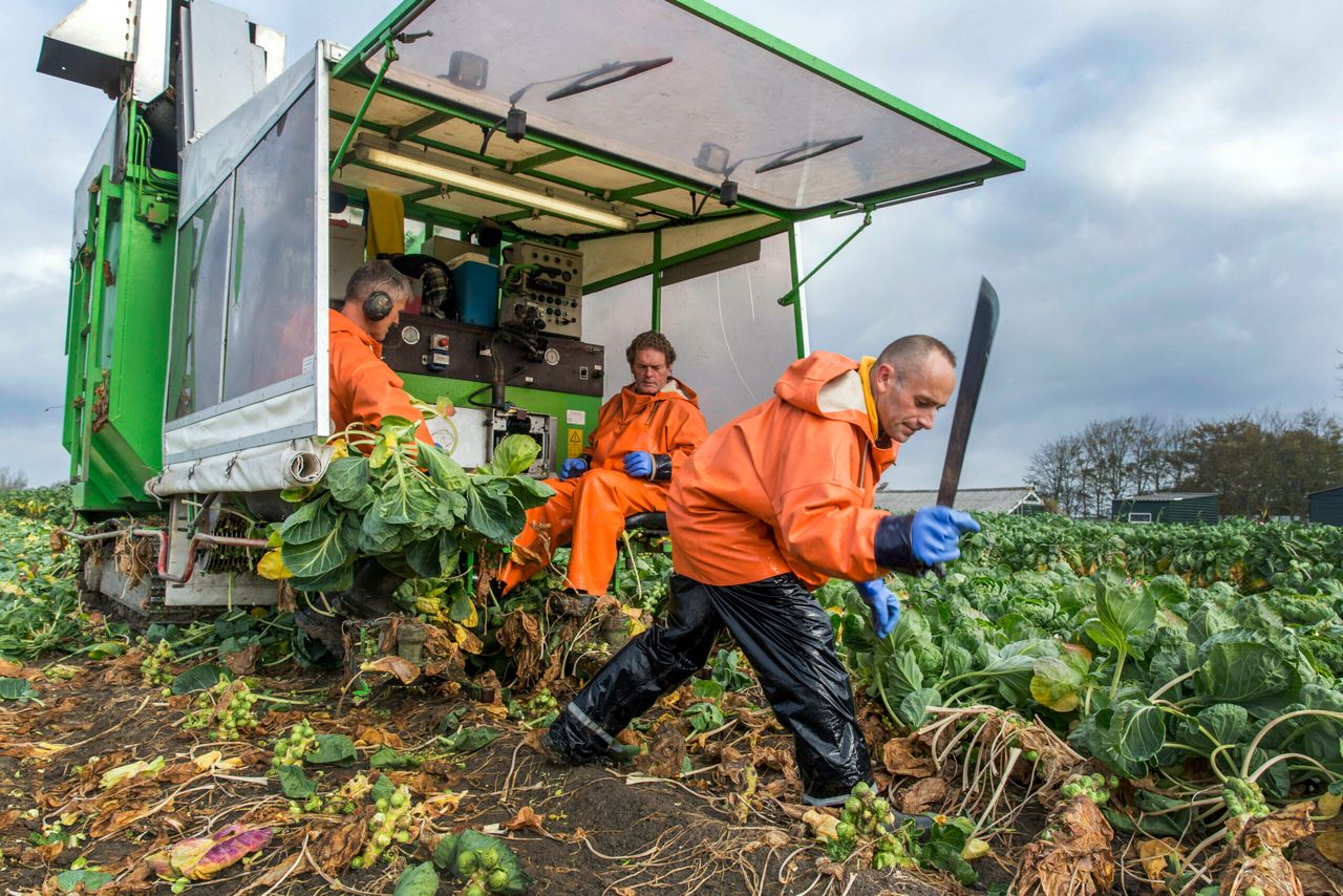 Foto: Roel Dijkstra