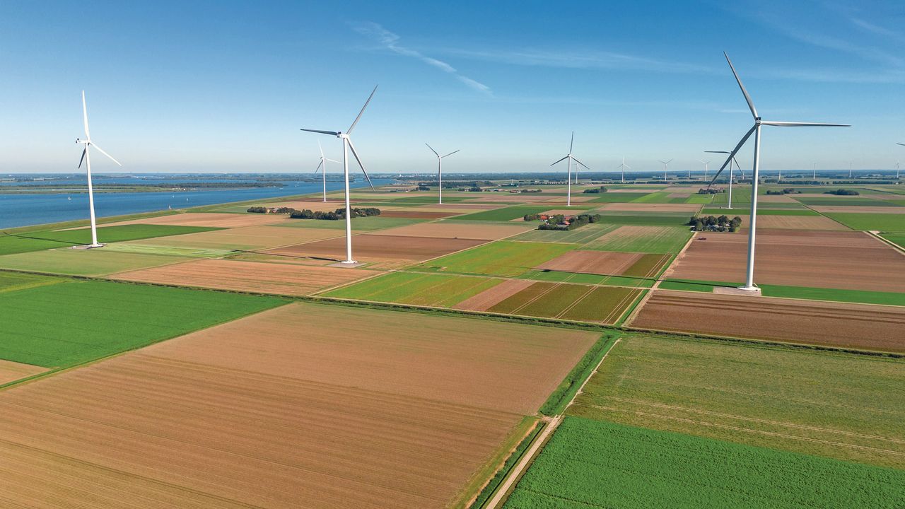 Landbouwgrond in Flevoland, de provincie met de hoogste pachtprijzen in Nederland. Foto: Koos Groenewold