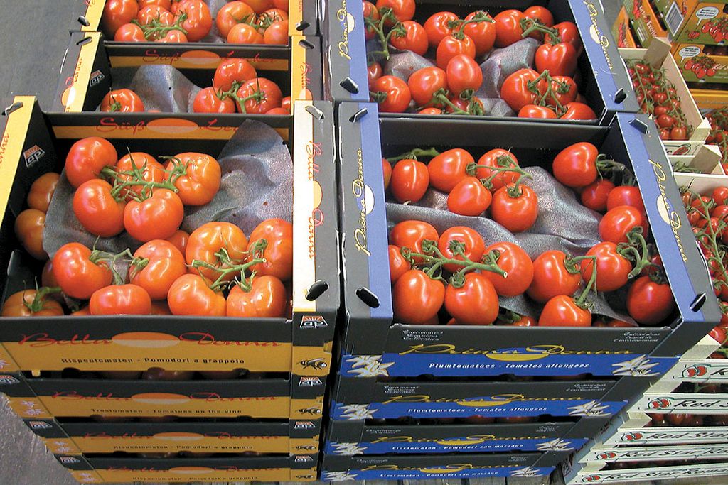 Markt: Tomatenprijs trekt aan