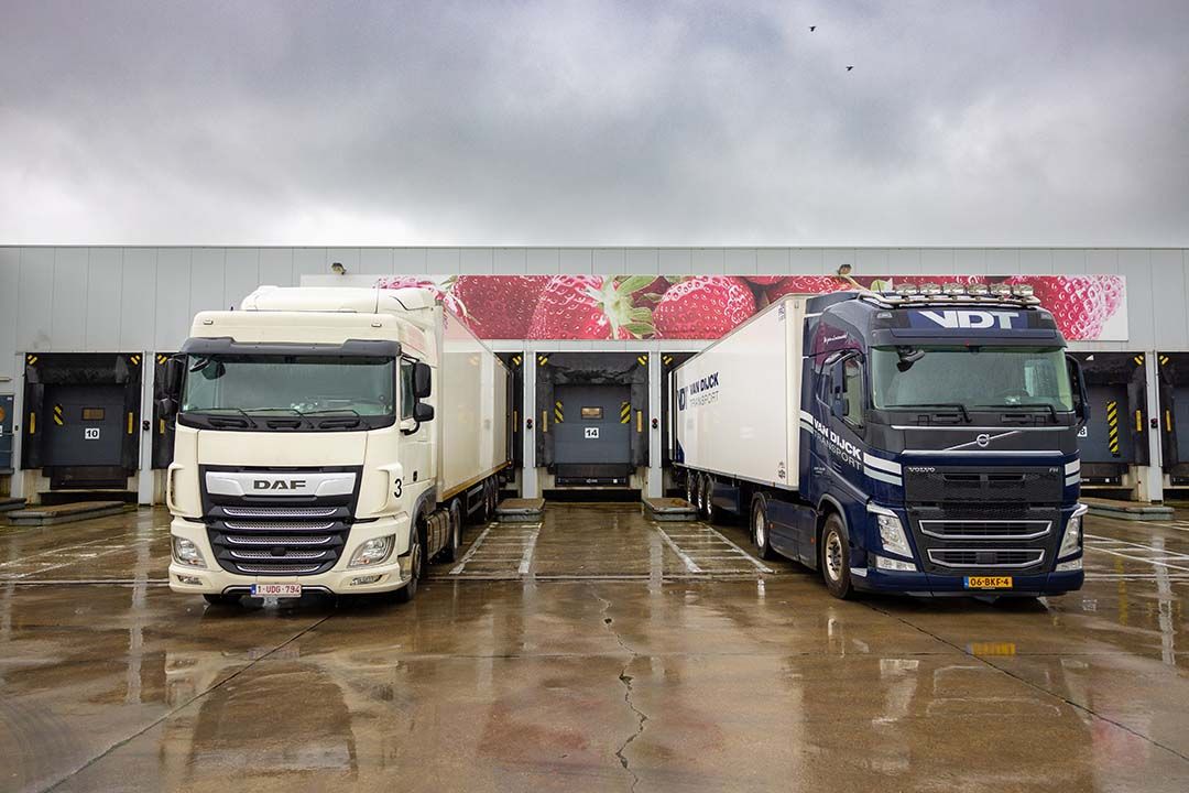 Een Belgische en een Nederlandse vrachtwagen laden in Hoogstraten. De veiling voert gesprekken over samenwerking met Fruitmasters. - Foto: Peter Roek