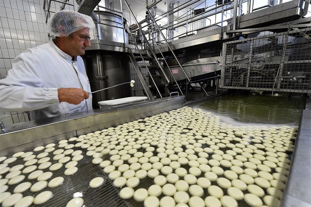 Productie van Babybel-kaasjes in de fabriek van Bel Group in Evron, in het noordwesten van Frankrijk. - Foto: ANP