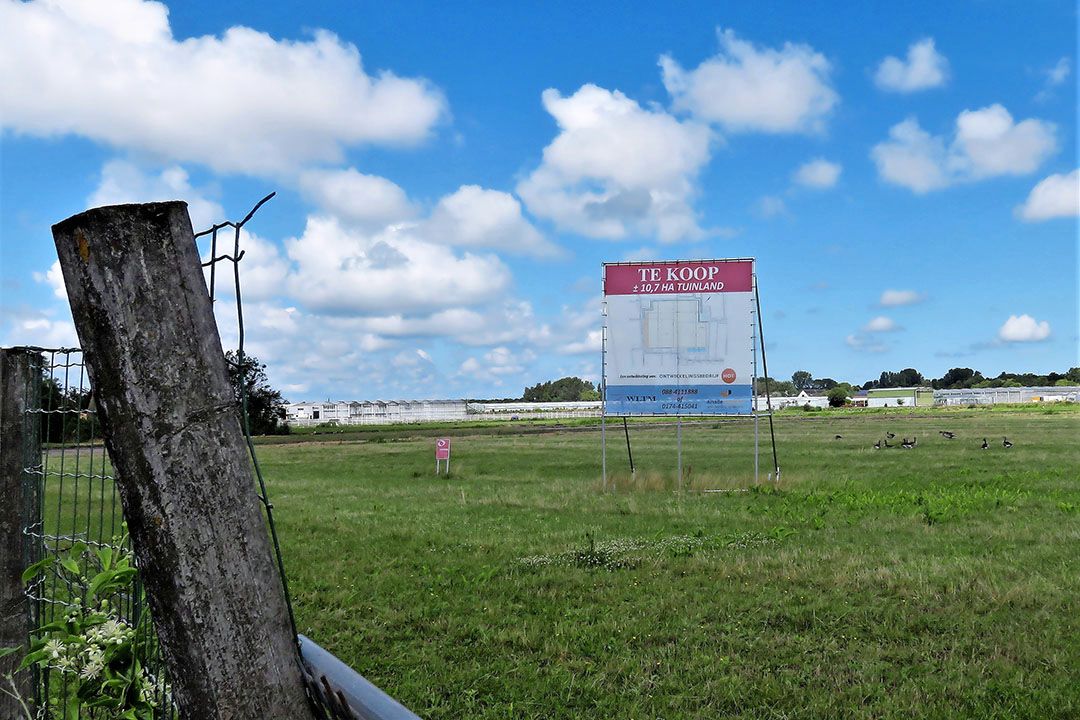 Een lap grond van meer dan 10 hectare te koop in het Westland is zeldzaam. Ontwikkelingsbedrijf HOT heeft de prijs geen moment laten dalen vanwege corona. - Foto: Ton van der Scheer