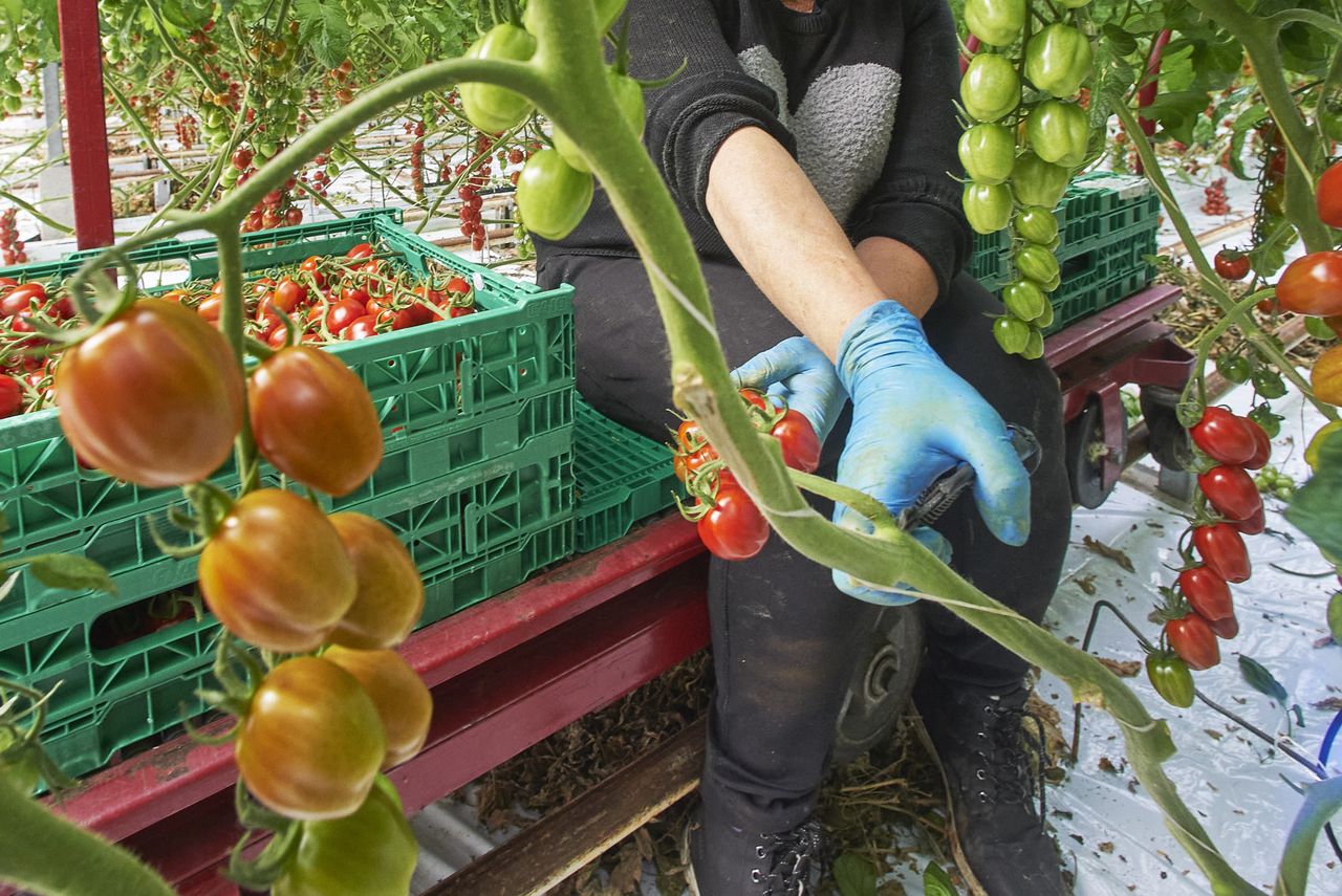 Foto: Van Assendelft Fotografie
