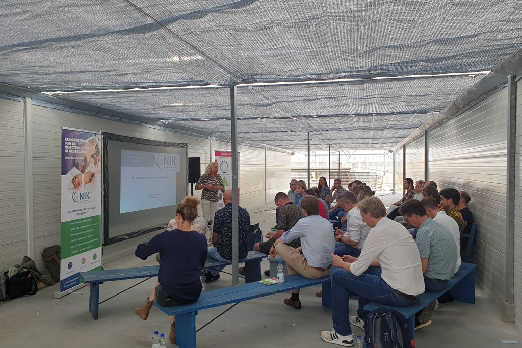 Tijdens de Kennissessie Innovatieve Eiwitbronnen vertellen organisaties over de kansen van nieuwe eiwitbronnen in kassen. Foto: SIGN