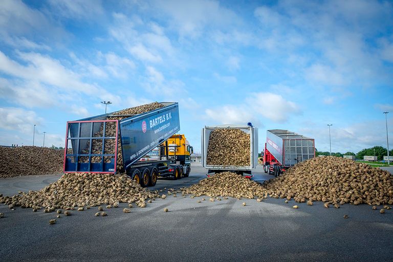 Foto: Roel Dijkstra