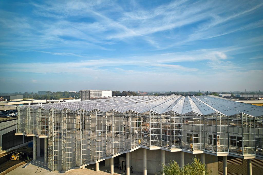 Agrotopia is de grootste dakkas van Europa, bovenop de kistenloods van veiling REO. - Foto: REO